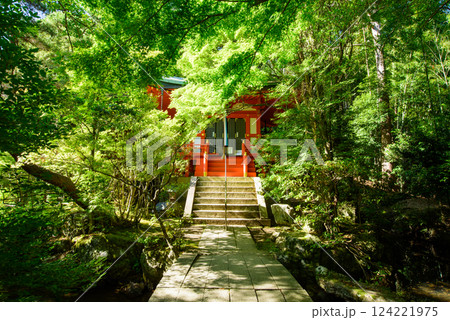 新緑に包まれた毘沙門堂門跡の弁財天 124221975