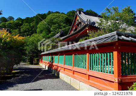 青空に映える朱塗りの毘沙門堂門跡 124221976