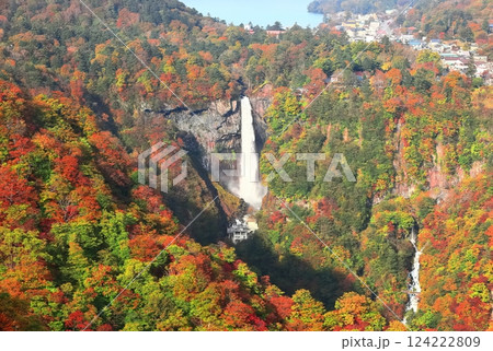【栃木県】晴天の華厳の滝の紅葉(日光) 【栃木県】晴天の華厳の滝の紅葉(日光) 124222809