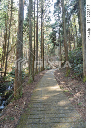 蛇滝コースの登山道(高尾山) 蛇滝コースの登山道(高尾山) 124222845