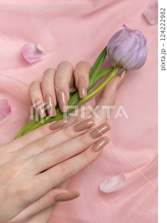 Woman hands with perfect nude manicure holding purple tulip on pink background 124222982