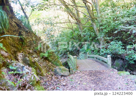 継鹿尾観音寂光院　参道 124223400