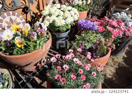 春の花の寄せ植え＆寄せ鉢 124223741