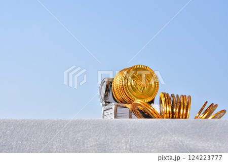 金貨 貯蓄 投資 資産運用イメージ 124223777