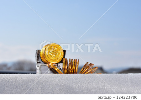 金貨 貯蓄 投資 資産運用イメージ 124223780