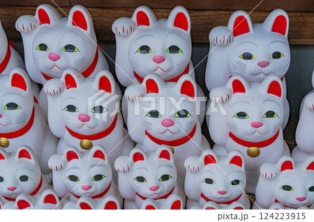 豪徳寺招福殿の招福猫児(まねきねこ) 豪徳寺招福殿の招福猫児(まねきねこ) 124223915