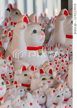 豪徳寺招福殿の招福猫児(まねきねこ) 豪徳寺招福殿の招福猫児(まねきねこ) 124223919