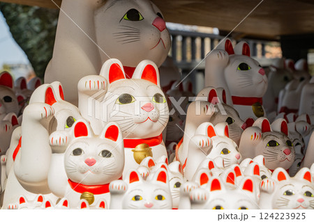 豪徳寺招福殿の招福猫児(まねきねこ) 豪徳寺招福殿の招福猫児(まねきねこ) 124223925