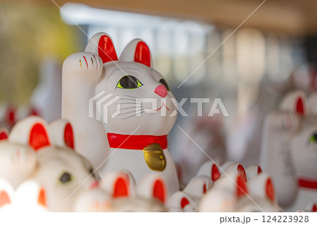 豪徳寺招福殿の招福猫児(まねきねこ) 豪徳寺招福殿の招福猫児(まねきねこ) 124223928