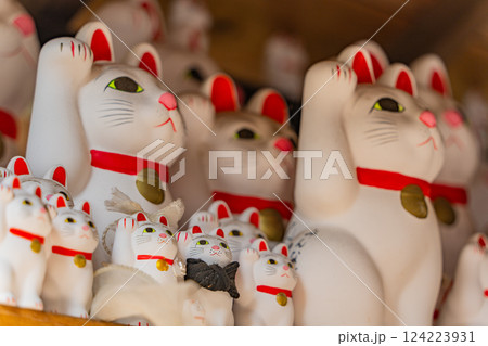 豪徳寺招福殿の招福猫児(まねきねこ) 豪徳寺招福殿の招福猫児(まねきねこ) 124223931