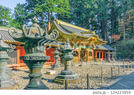 日 一日 昼 124223959