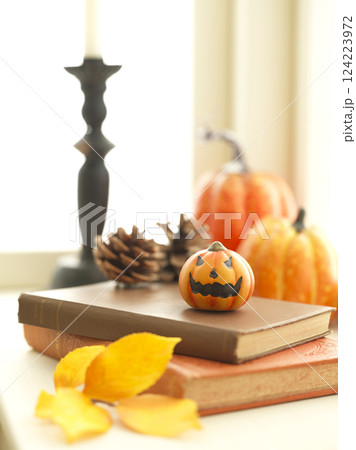 窓辺のハロウィンイメージ 124223972