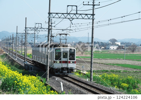 春風の電車 124224106