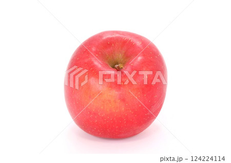 赤いリンゴ　恋ふじ　岩手県産　丸ごと1個　明るい背景 124224114