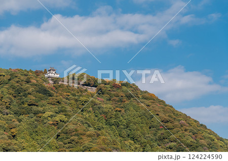 【岩国城】 【岩国城】 124224590