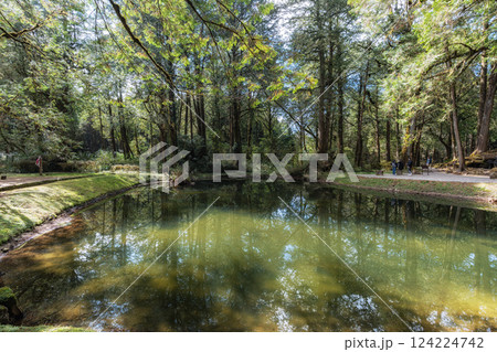 Alishan Sister Ponds Alishan Sister Ponds 124224742