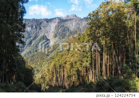 Mount Data in Alishan 124224754