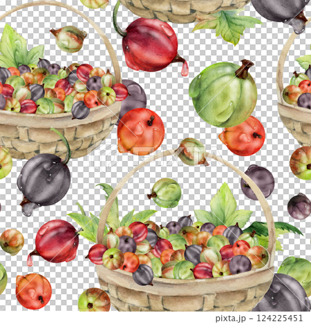 Currant gooseberry in clusters, leaves in weaved basket, hand drawn in watercolor, ripe picked berry harvest, casseille jostaberry. Isolated seamless pattern. Scrapbooking, washi tape, cover design Currant gooseberry in clusters, leaves in weaved basket, hand drawn in watercolor, ripe picked berry harvest, casseille jostaberry. Isolated seamless pattern. Scrapbooking, washi tape, cover design 124225451