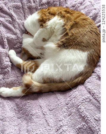 A ginger cat with white fur. Sleeping on its side. In a quirky pose. Oblique Angle. Close-up. A ginger cat with white fur. Sleeping on its side. In a quirky pose. Oblique Angle. Close-up. 124225538