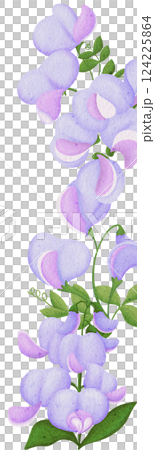 Illustration of row of Pea flowersEdible flowers 124225864