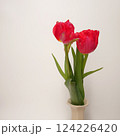 花瓶に生けたチューリップ 124226420
