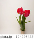 花瓶に生けたチューリップ 124226422