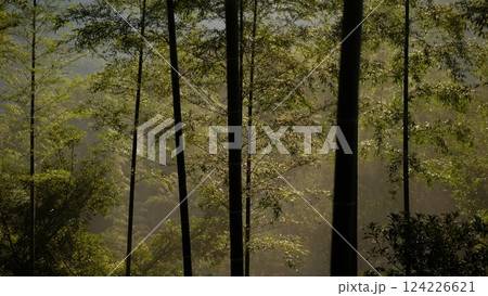 景色 風景 自然 124226621