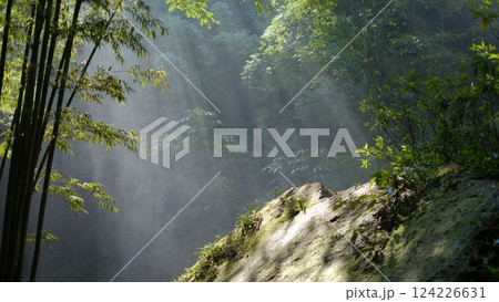 自然 天然 ナチュラル 124226631