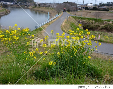 栄町散策 栄町散策 124227105
