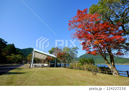 藺牟田池と秋の紅葉 124227238
