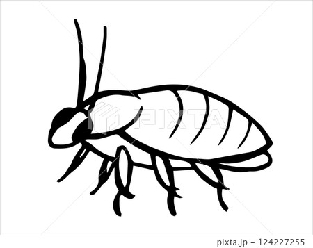 insect cockroach. vector illustration in sketch style.	 124227255