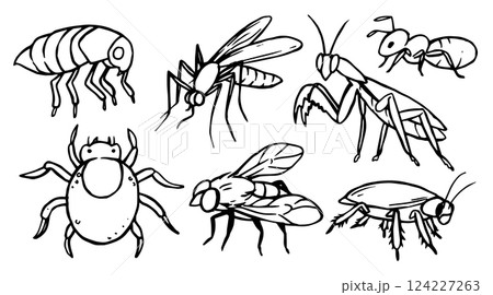 Set of insects pest. Vector illustration in sketch style. Set of insects pest. Vector illustration in sketch style. 124227263