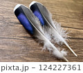 マガモの次列風切羽根 124227361