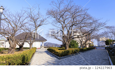 ヴェルニー公園の春 124227963