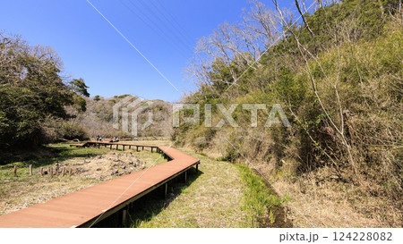 三浦半島の小網代の森 124228082