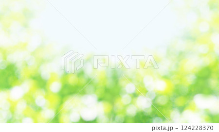 新緑　木漏れ日　16：9 124228370