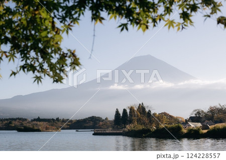 Witness the breathtaking scenery of Tanuki Lake in Japan, framed by green maple, fall foliage, and the iconic 124228557