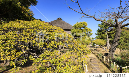 古民家の春 124228585