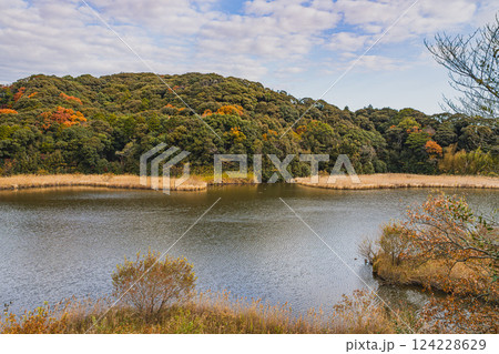 磐田市にある秋の桶ヶ谷沼の紅葉の風景(静岡県) 124228629