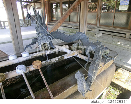 滋賀県長浜市の大通寺の手水舎 滋賀県長浜市の大通寺の手水舎 124229554