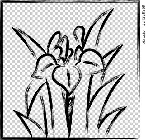 筆書き正方形シンプル花札　菖蒲　杜若　皐月　5月　菖蒲のカス 124229869