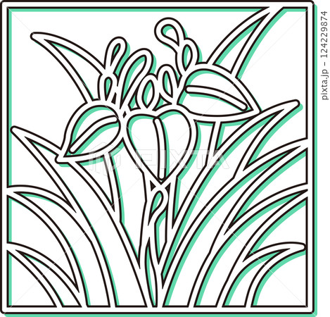 カラーシャドウ正方形シンプル花札　菖蒲　杜若　皐月　5月　菖蒲のカス 124229874