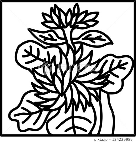 線画正方形シンプル花札 長月 菊 9月 菊のカス 線画正方形シンプル花札 長月 菊 9月 菊のカス 124229989