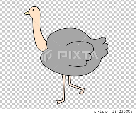 鴕鳥 124230005