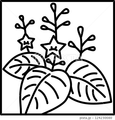 線画正方形シンプル花札　師走　桐　12月　桐のカス 124230080