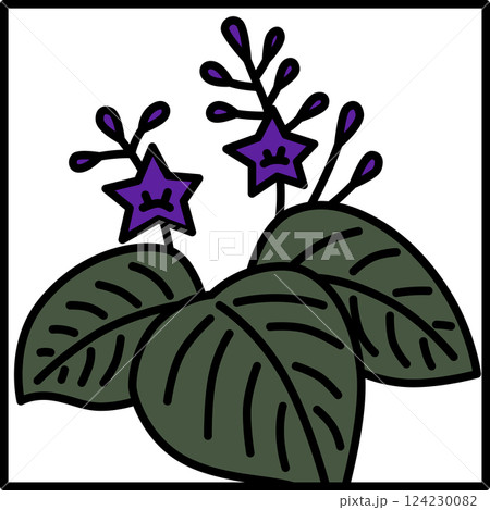 カラー正方形シンプル花札　師走　桐　12月　桐のカス 124230082