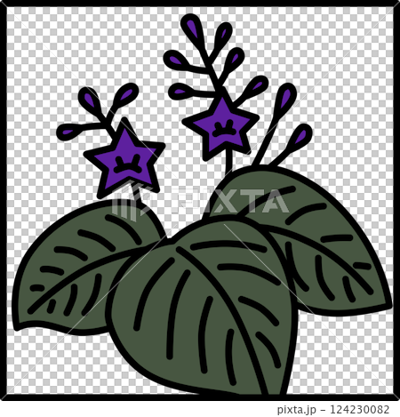 カラー正方形シンプル花札　師走　桐　12月　桐のカス 124230082