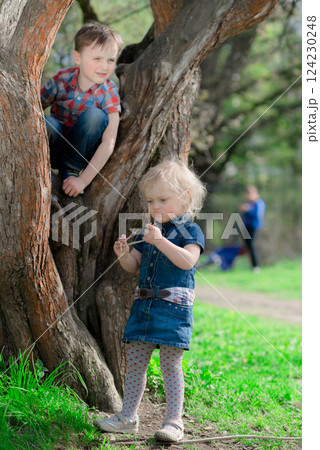 Children Climbing Tree and Exploring Nature Outdoors Children Climbing Tree and Exploring Nature Outdoors 124230248