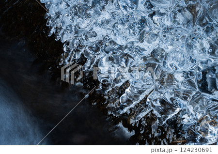 儚さと美しさ【長野県】 124230691