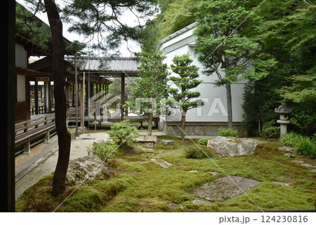 南禅寺 方丈庭園 還源庭(京都市左京区) 南禅寺 方丈庭園 還源庭(京都市左京区) 124230816